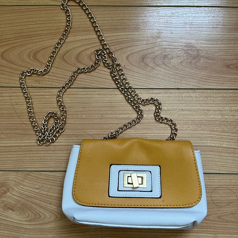 Small Gold Chain Handbag